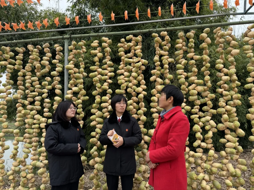 图片3